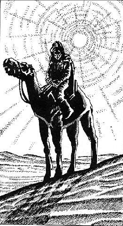 Desert Rider.PNG